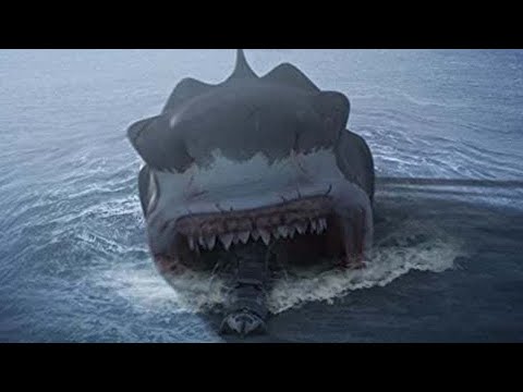 Megalodon'un Hala Hayatta Olduğunu Kanıtlayan ŞOK EDİCİ Görüntüler